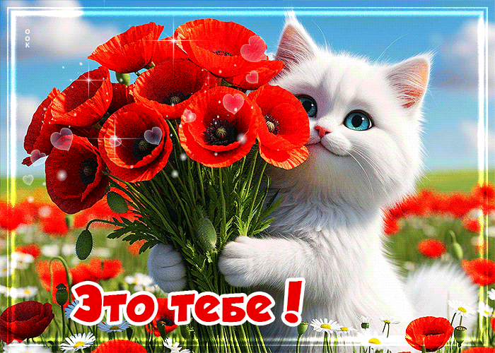 Postcard трепетная летняя гиф-открытка с маками это тебе