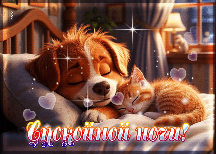 Postcard трогательная гифка спокойной ночи