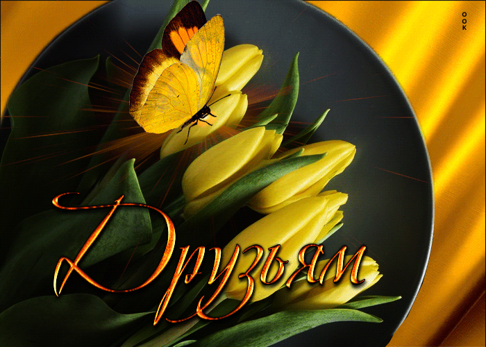 Picture трогательная открытка с желтыми тюльпанами друзьям