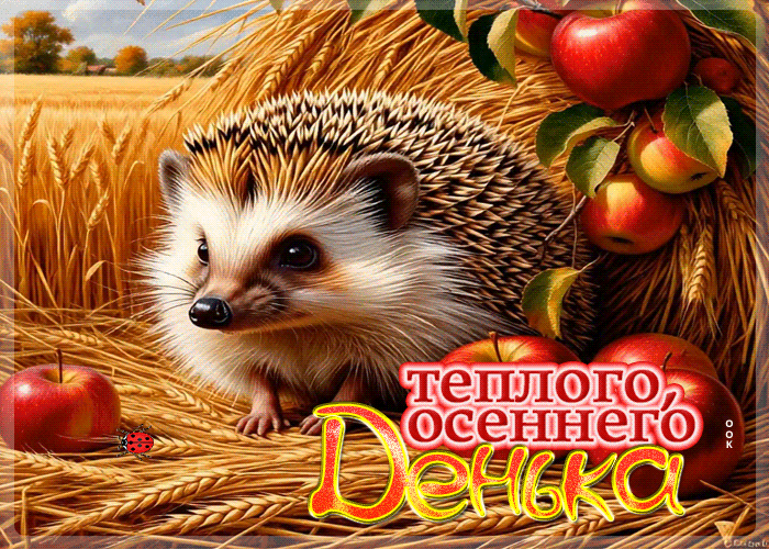 Postcard трогательнейшая гифка теплого осеннего денька