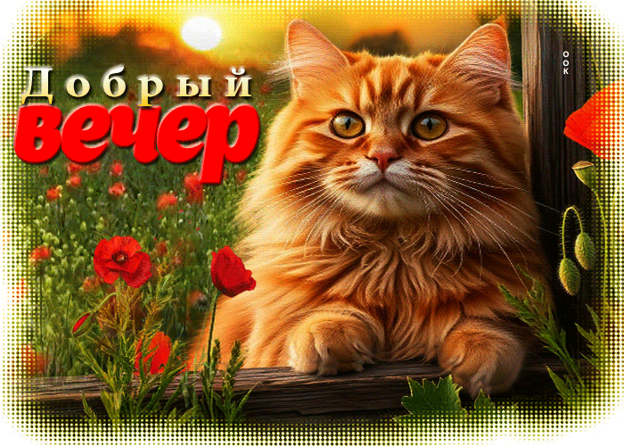 Picture творческая летняя гиф-открытка добрый вечер