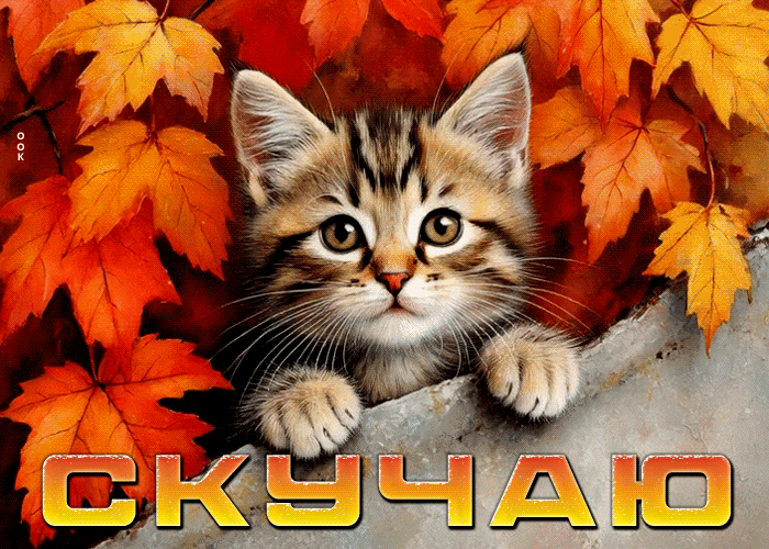 Postcard тёплая и добрая осенняя гифка скучаю