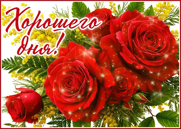 Postcard тёплая, уютная открытка хорошего дня