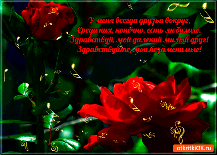 Картинка у меня всегда друзья вокруг