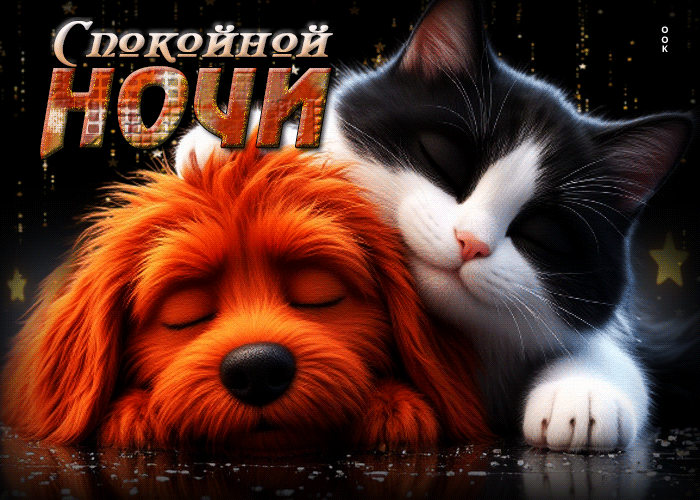 Postcard удивительная гиф-открытка спокойной ночи