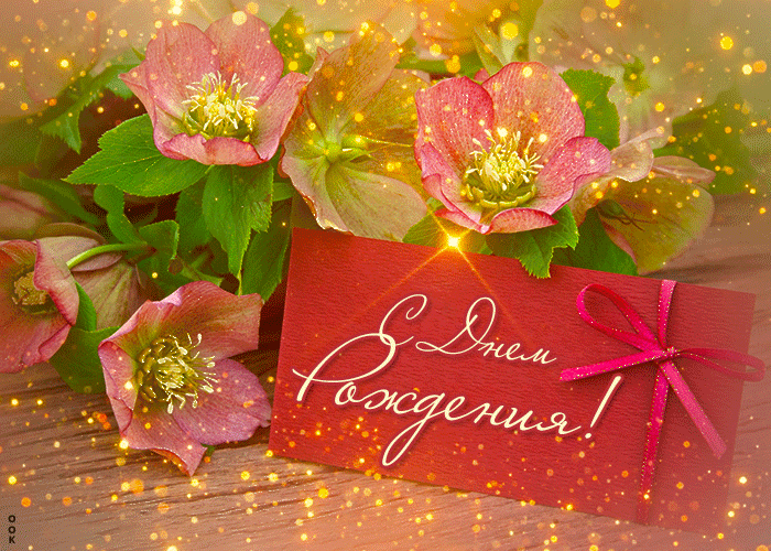 Postcard удивительная и стильная гиф-открытка с цветочками с днем рождения