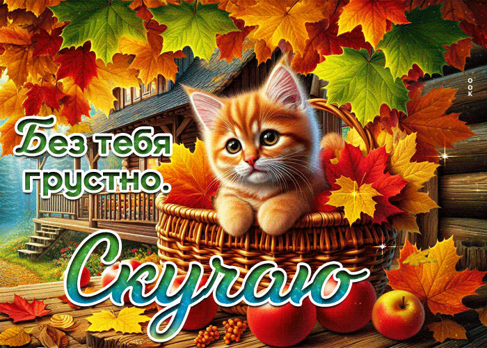 Postcard удивительная осенняя гифка без тебя грустно. скучаю