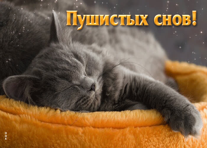 Picture удивительная открытка с котиком пушистых снов