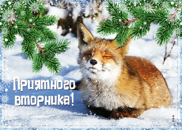 Postcard удивительная открытка с лисичкой приятного вторника