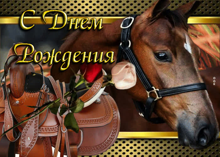 Открытка с днем рождения с лошадью - скачать бесплатно на сайте натяжныепотолкибрянск.рф