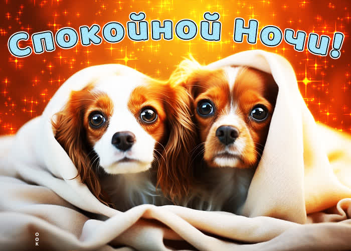 Picture удивительная открытка с собачками спокойной ночи