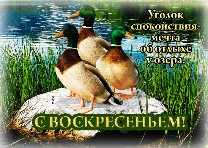 Postcard уголок спокойствия - мечта об отдыхе у озера. с воскресеньем