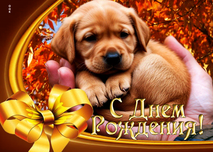 Picture улыбчивая осенняя гифка с днем рождения