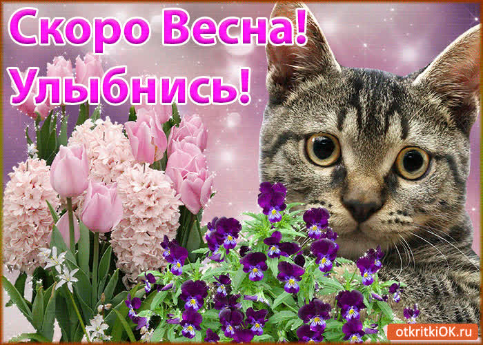 Выборы, картинки февраль с надписью скоро весна