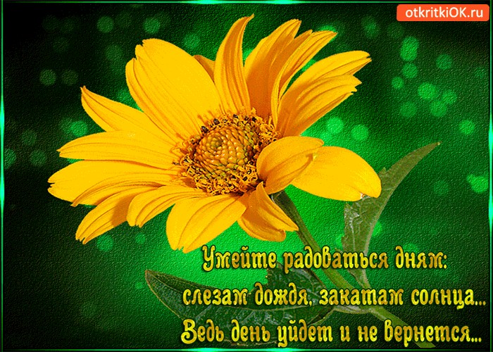Открытки радуйся каждому новому дню