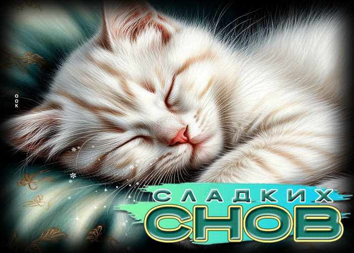 Postcard умиротворяющая гиф-открытка сладких снов