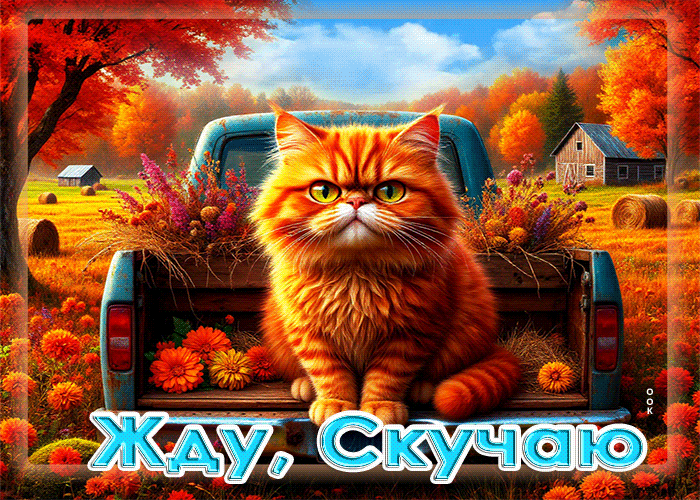 Postcard умиротворяющая осенняя гифка жду, скучаю