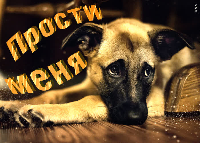 Умопомрачительная открытка Прости меня - Скачать бесплатно на otkritkiok.ru
