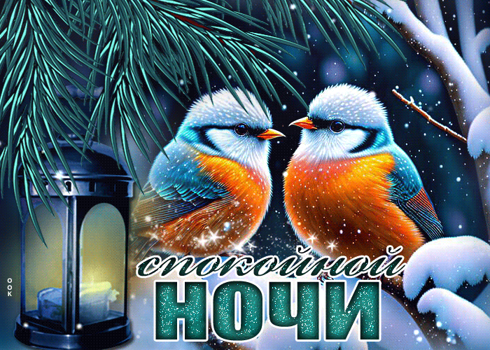 Picture уникальная и стильная гиф-открытка с птичками спокойной ночи