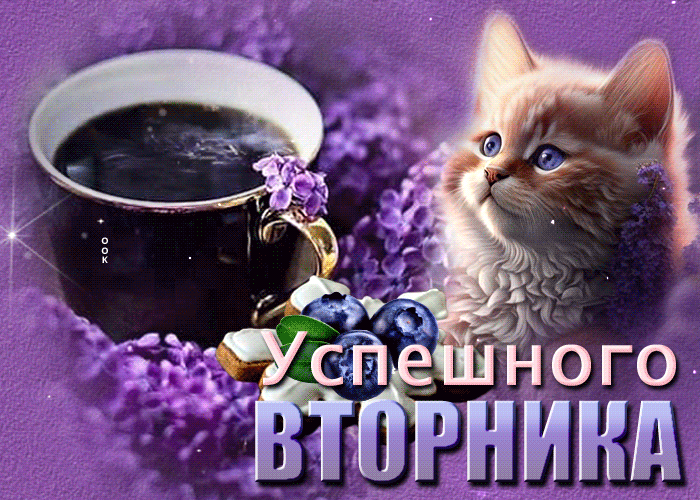 Picture уникальная открыка с котенком в цветах успешного вторника