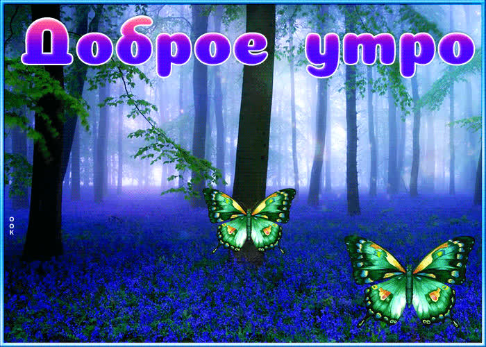 Picture уникальная открытка с бабочками доброе утро
