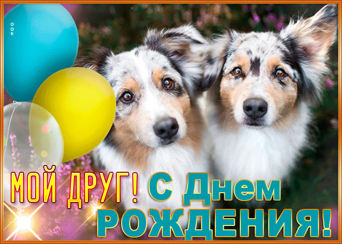 Postcard увлекательная гиф-открытка с собачками мой друг, с днем рождения!