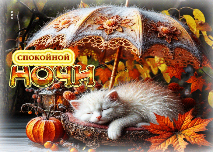 Postcard уютная и душевная осенняя гифка спокойной ночи