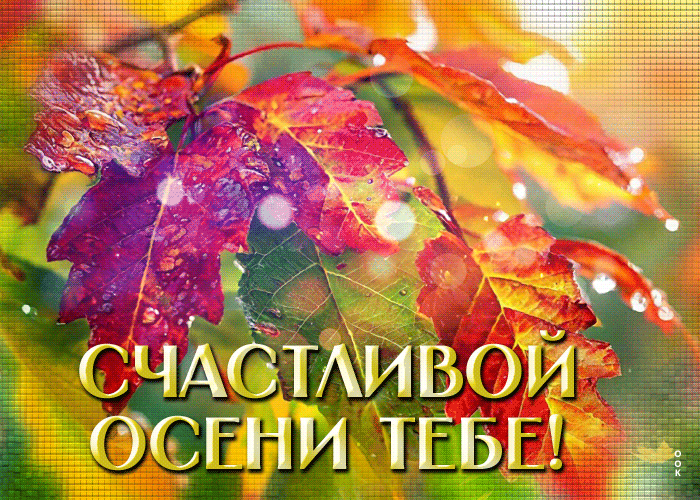 Picture уютная осенняя гиф-открытка счастливой осени тебе