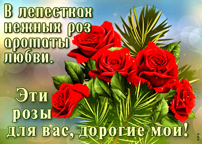Postcard в лепестках нежных роз ароматы любви! эти розы для вас, дорогие мои