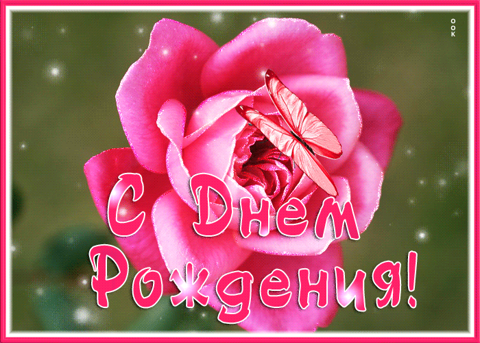Postcard вдохновенная гиф-открытка с розой с днем рождения