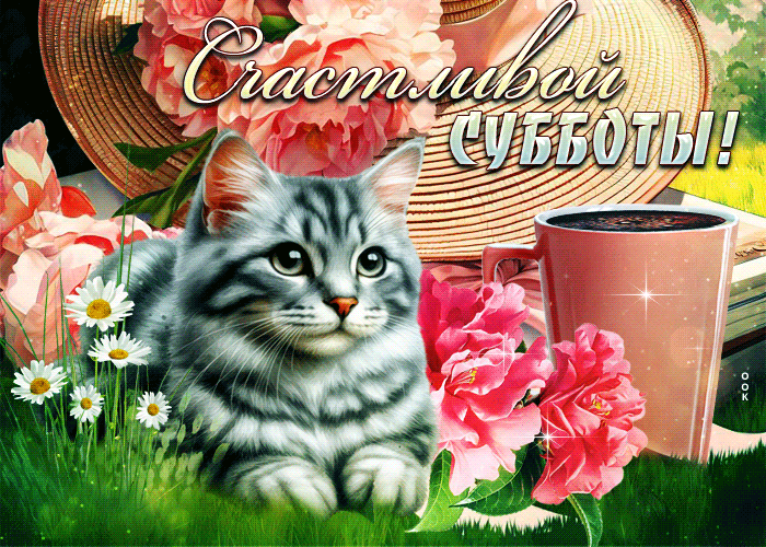 Picture вдохновенная открытка с котиком счастливой субботы