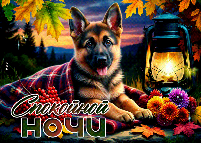 Picture вдохновенно-яркая осенняя гифка спокойной ночи