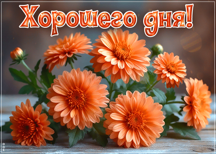 Postcard вдохновенно-яркая осенняя гифка хорошего дня