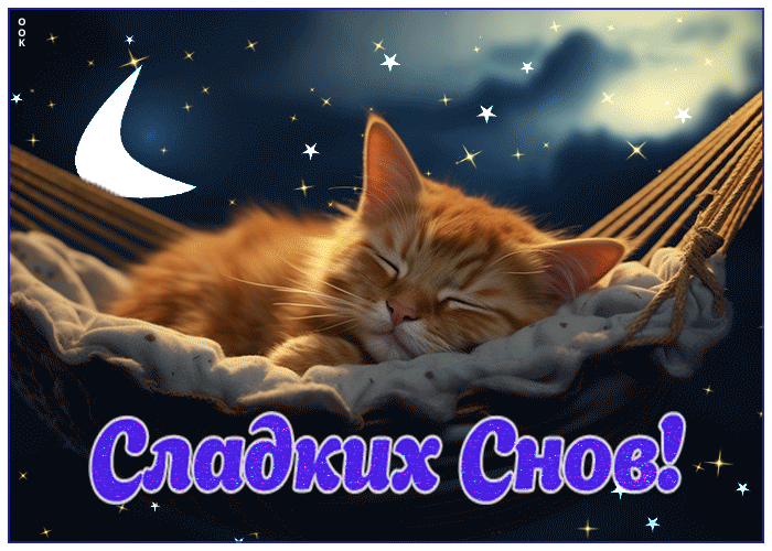 Postcard вдохновляющая и креативная открытка с котенком сладких снов
