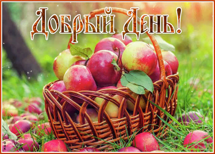 Postcard вдохновляющая и креативная открытка с яблочками добрый день