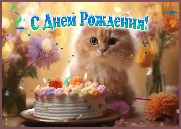 Picture веселая гиф-открытка с котиком с днем рождения