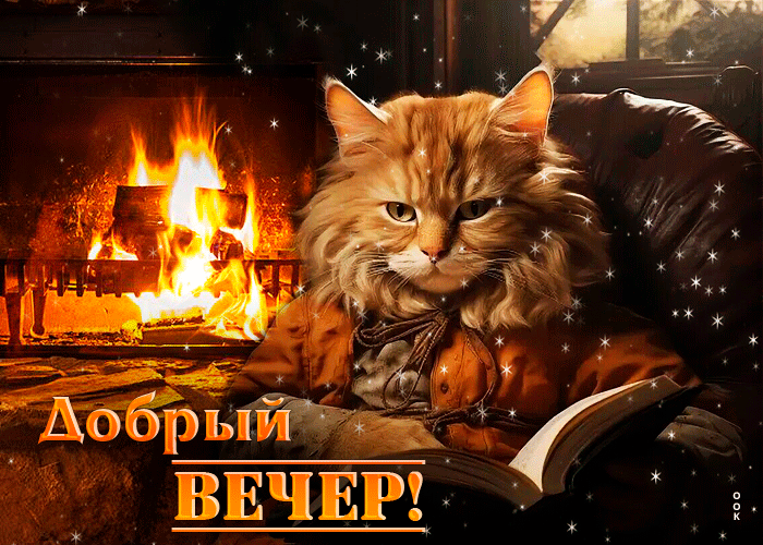 Picture веселая и привлекательная гиф-открытка с котом добрый вечер