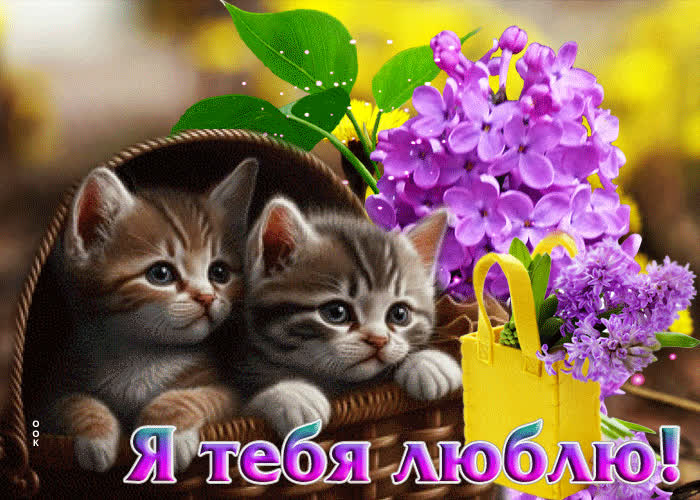 Postcard веселая и радостная открытка с котятами я тебя люблю