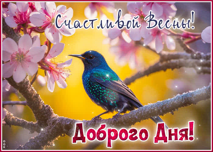 Picture веселая и радужная гиф-открытка счастливой весны! доброго дня