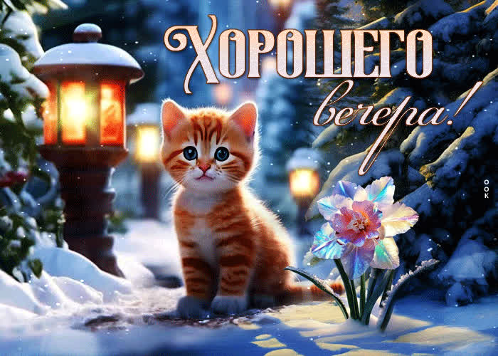 Picture веселая и яркая зимняя гиф-открытка с котенком хорошего вечера