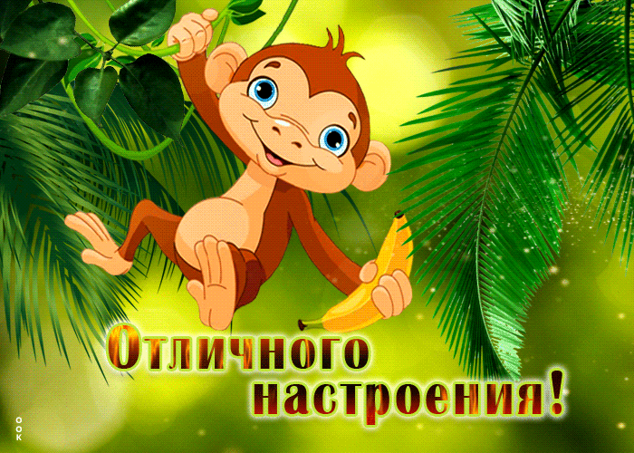 Postcard веселая открытка с обезьяной отличного настроения!