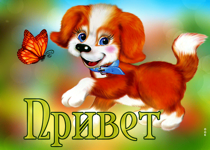 Postcard веселая открытка с собачкой и бабочкой привет
