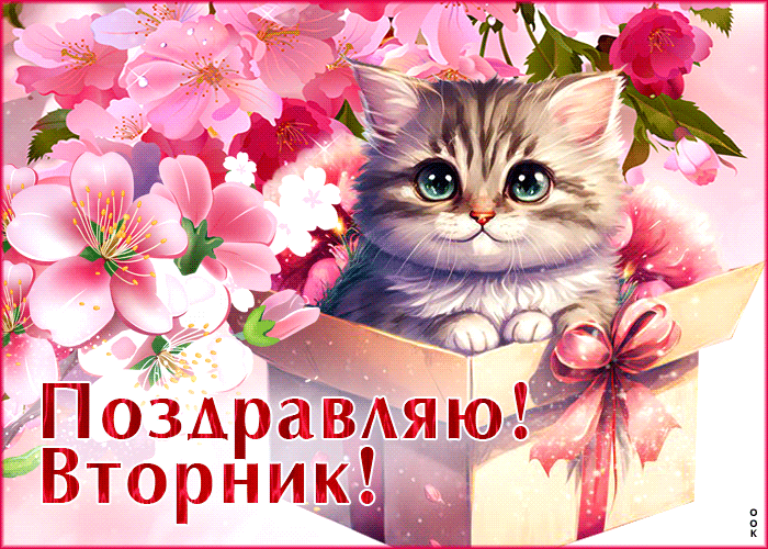 Picture весенняя открытка с котиком поздравляю! вторник!