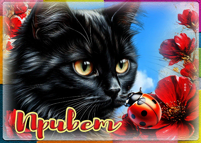 Picture весёлая лёгкая летняя гиф-открытка привет