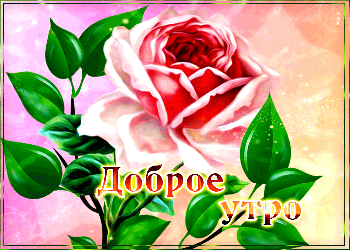Picture виртуальная открытка доброе утро с розой