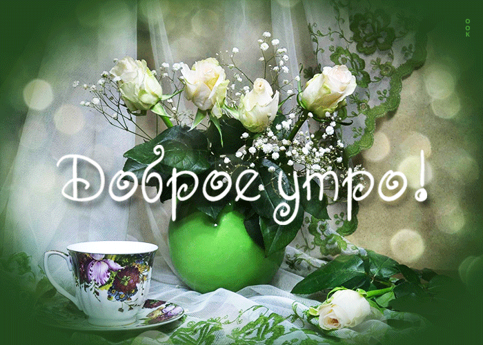 открытки с белыми розами: 2 тыс изображений найдено в Яндекс Картинках