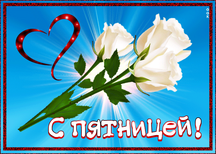 Postcard виртуальная открытка с белыми розами с пятницей!
