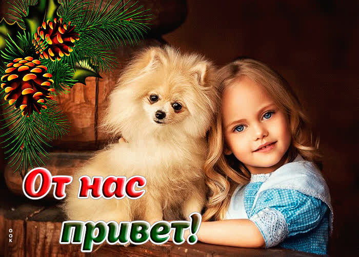 Picture виртуальная открытка с девочкой и собакой от нас привет!