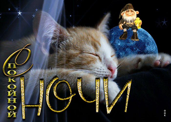 Picture виртуальная открытка с кошечкой спокойной ночи