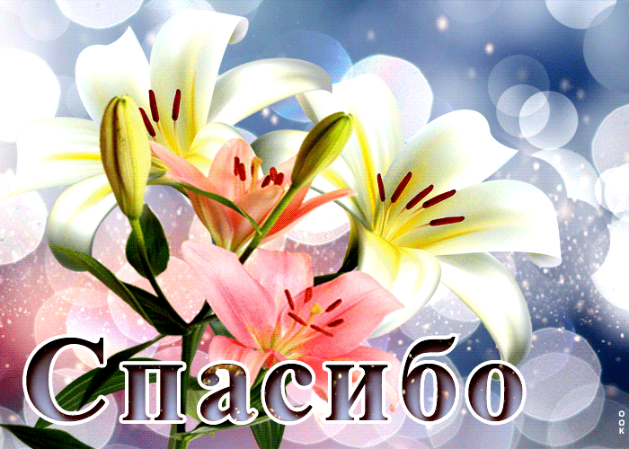 Открытка виртуальная открытка с лилиями спасибо